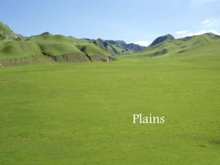 Plains
 