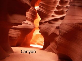 Canyon
 