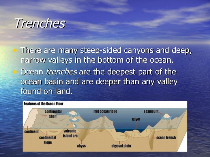 landforms found on the ocean floor how do ocean basins form