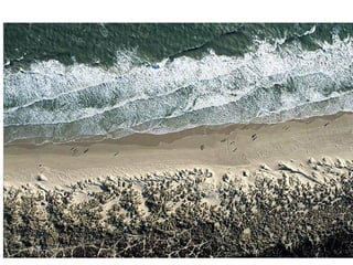Landforms Of Erosion Ap | PPT