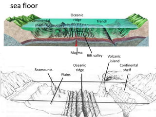 Landforms..this land is our land (Teach) | PPTX