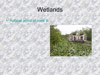 Wetlands
• Airboat point of view through swamp/wetlands with p
 