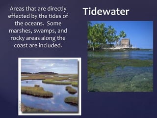 Tidewater Areas that are directly 
effected by the tides of 
the oceans. Some 
marshes, swamps, and 
rocky areas along the 
coast are included. 
 