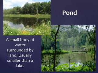 Pond 
A small body of 
water 
surrounded by 
land, Usually 
smaller than a 
lake. 
 