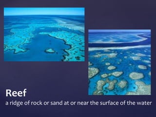 Reef 
a ridge of rock or sand at or near the surface of the water 
 