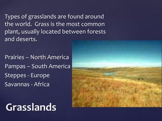 Types of grasslands are found around 
the world. Grass is the most common 
plant, usually located between forests 
and deserts. 
Prairies – North America 
Pampas – South America 
Steppes - Europe 
Savannas - Africa 
Grasslands 
 