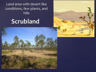 Land area with desert like 
conditions, few plants, and 
hills 
Scrubland 
 