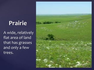 Prairie 
A wide, relatively 
flat area of land 
that has grasses 
and only a few 
trees. 
 