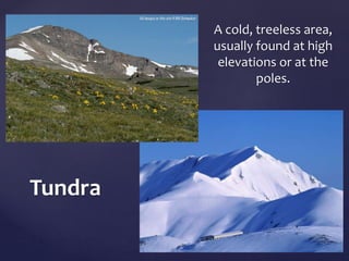 Tundra 
A cold, treeless area, 
usually found at high 
elevations or at the 
poles. 
 