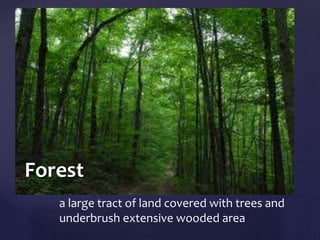 { 
Forest 
a large tract of land covered with trees and 
underbrush extensive wooded area 
 
