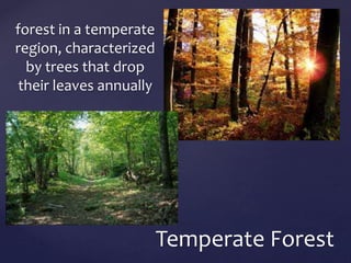 forest in a temperate 
region, characterized 
by trees that drop 
their leaves annually 
Temperate Forest 
 