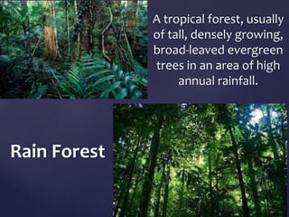 A tropical forest, usually 
of tall, densely growing, 
broad-leaved evergreen 
trees in an area of high 
annual rainfall. 
Rain Forest 

