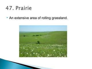  An extensive area of rolling grassland.
 