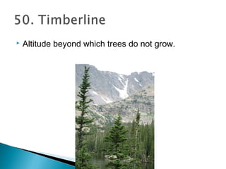  Altitude beyond which trees do not grow.
 