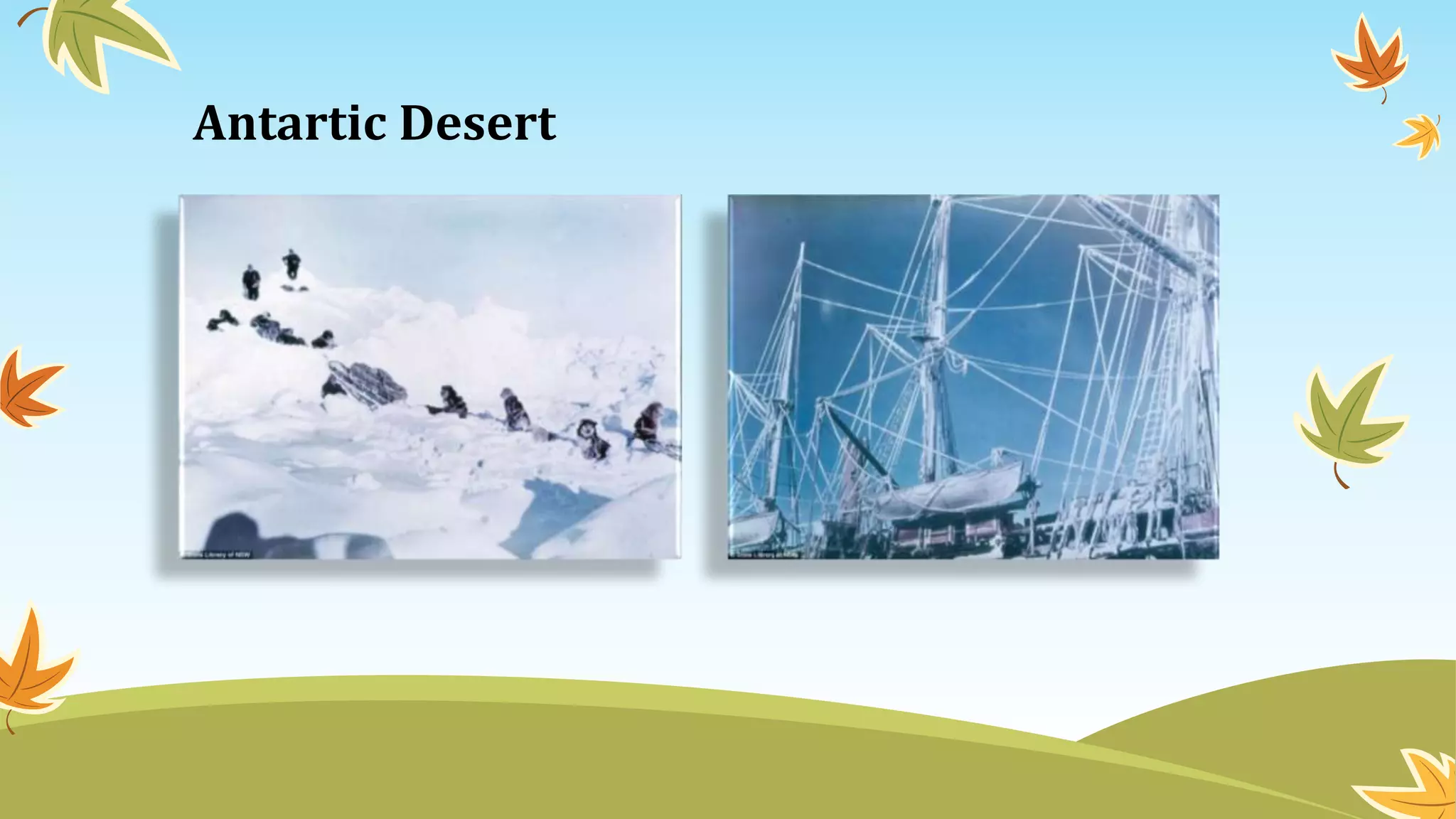Antartic Desert
 