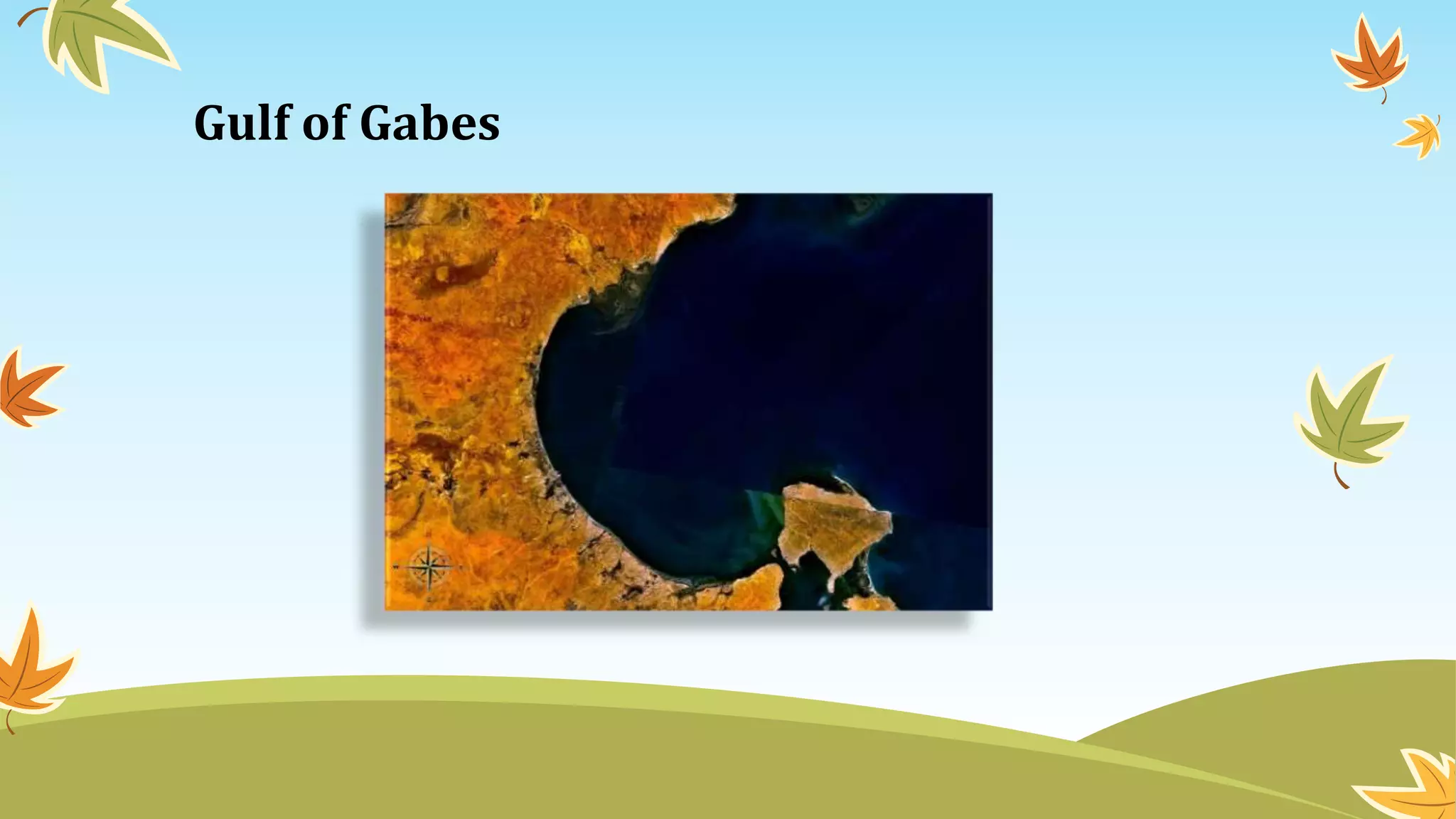 Gulf of Gabes
 