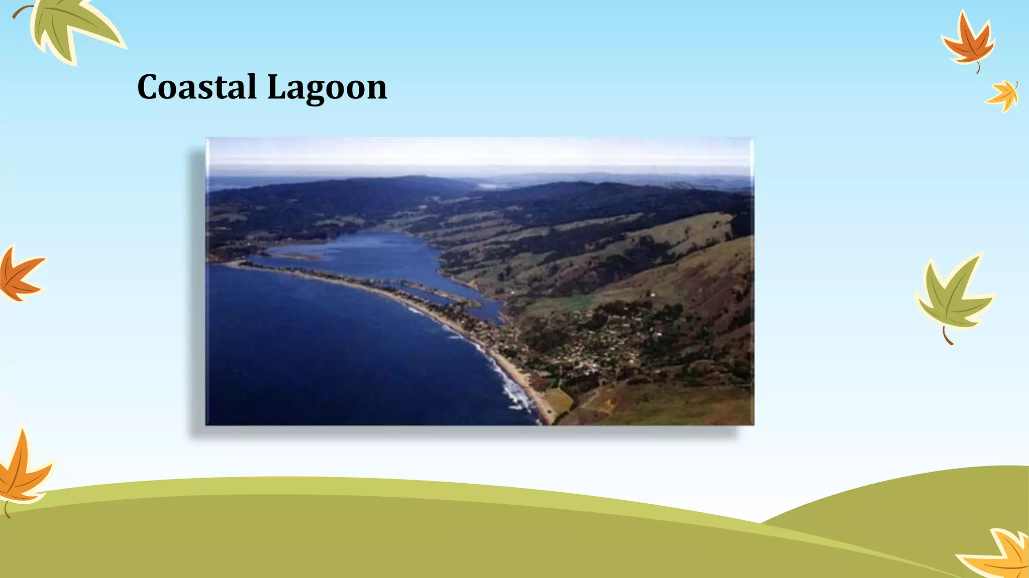 Coastal Lagoon
 
