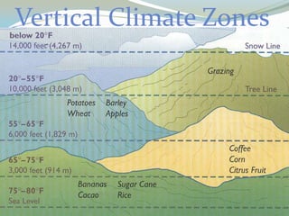 Vertical Climate Zones

 