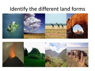 Identify the different land forms