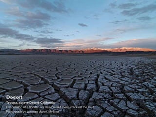 Desert
Tecopa, Mojave Desert, California
Evaporation of a flooded dry lake caused these cracks in the mud.
Photograph by Lorenzo Manni, MyShot
 