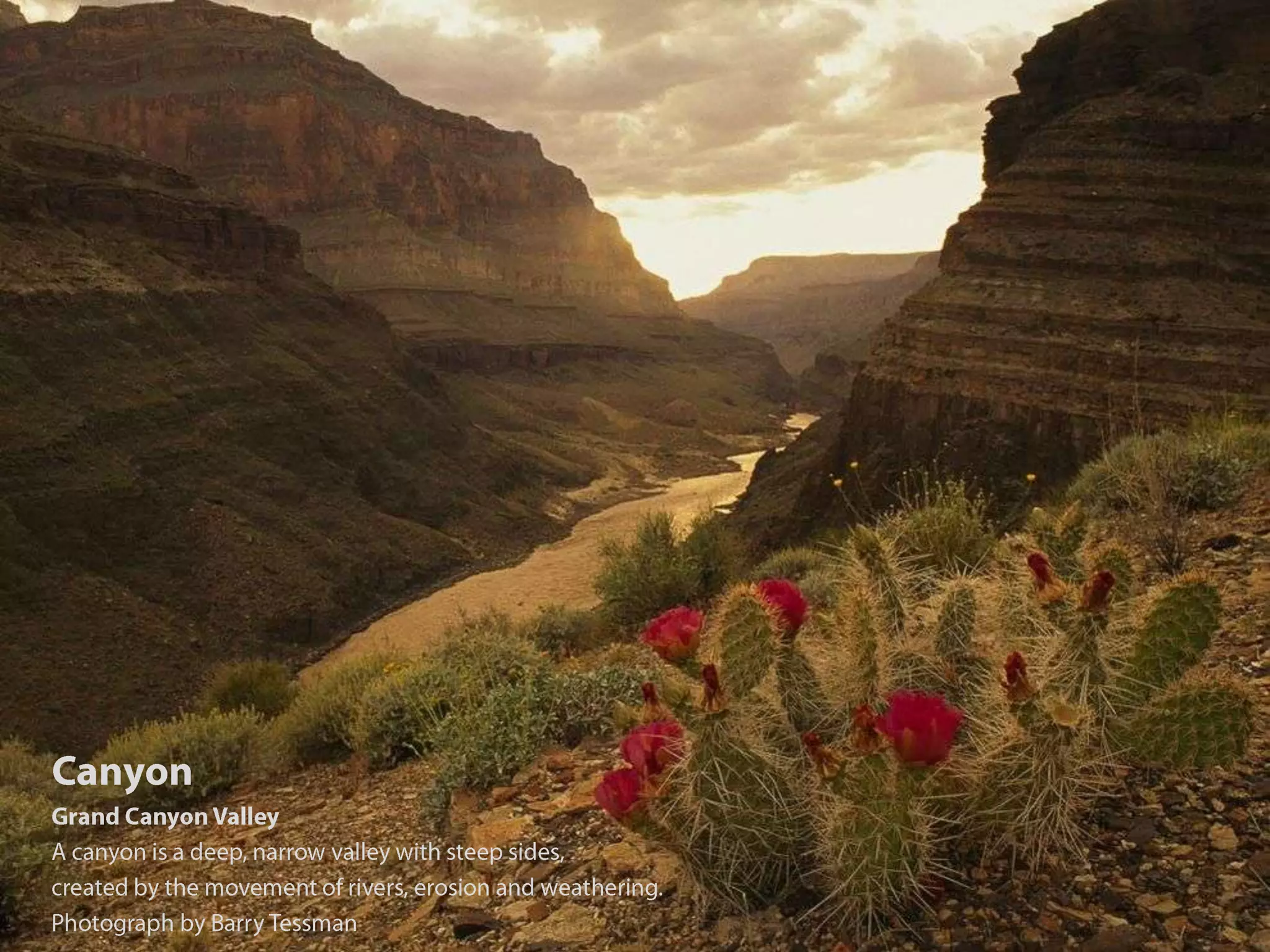 Landforms presentation