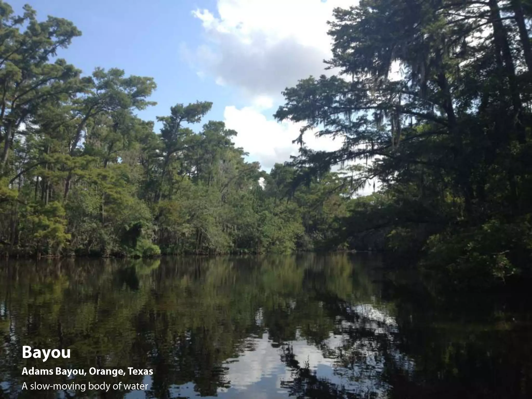 Landforms presentation