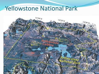 Yellowstone National Park
 