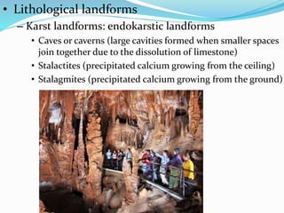 • Lithological landforms
– Karst landforms: endokarstic landforms
• Caves or caverns (large cavities formed when smaller spaces
join together due to the dissolution of limestone)
• Stalactites (precipitated calcium growing from the ceiling)
• Stalagmites (precipitated calcium growing from the ground)
 