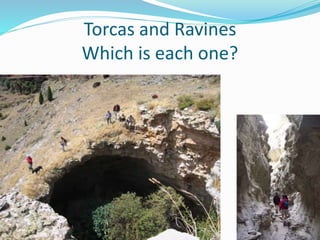 Torcas and Ravines
Which is each one?
 