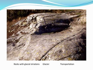 Rocks with glacial striations Glacier Transportation
 
