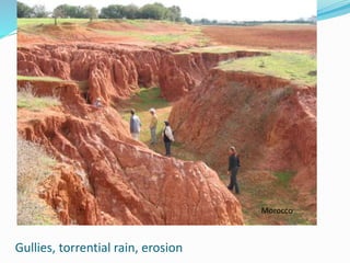 Gullies, torrential rain, erosion
Morocco
 