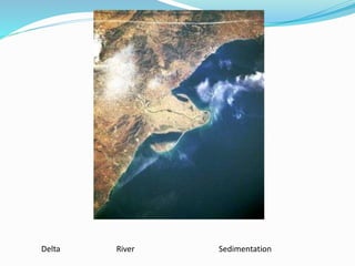 Delta River Sedimentation
 