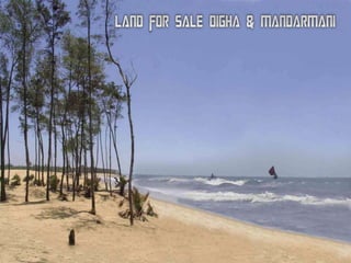 Land For Sale at Digha in Lowest Price
