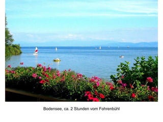Bodensee, ca. 2 Stunden vom Fohrenbühl
 