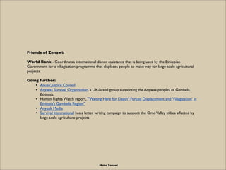 Friends of Zenawi:

World Bank - Coordinates international donor assistance that is being used by the Ethiopian
Government for a villagisation programme that displaces people to make way for large-scale agricultural
projects.

Going further:
    • Anuak Justice Council
    • Anywaa Survival Organisation, a UK-based group supporting the Anywaa peoples of Gambela,
      Ethiopia.
    • Human Rights Watch report, "'Waiting Here for Death’: Forced Displacement and ‘Villagization’ in
      Ethiopia’s Gambella Region”
    • Anyuak Media
    • Survival International has a letter writing campaign to support the Omo Valley tribes affected by
      large-scale agriculture projects




                                            Meles Zenawi
 