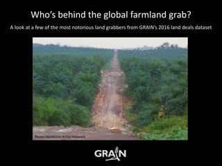 Land grabbers: where are they now?
A look at a few of the biggest land grabbers who have disappeared from the scene
Photo: Rainforest Action Network
 