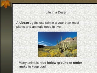 Life in a Desert
A desert gets less rain in a year than most
plants and animals need to live.
Many animals hide below ground or under
rocks to keep cool.
 