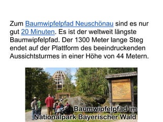 Zum Baumwipfelpfad Neuschönau sind es nur
gut 20 Minuten. Es ist der weltweit längste
Baumwipfelpfad. Der 1300 Meter lange Steg
endet auf der Plattform des beeindruckenden
Aussichtsturmes in einer Höhe von 44 Metern.
 