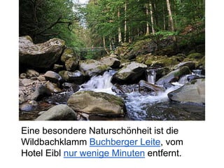 Eine besondere Naturschönheit ist die
Wildbachklamm Buchberger Leite, vom
Hotel Eibl nur wenige Minuten entfernt.
 