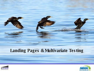 Landing Pages & Multivariate Testing 