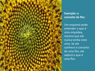 Exemplo: o
conceito de flor.

Um esquimó pode
entender o que é
uma orquídea,
mesmo que ele
nunca tenha visto
uma. Se ele
conhece o conceito
de uma flor, ele
saberá o que é
uma flor.
 