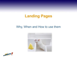 Landing Pages Why, When and How to use them 