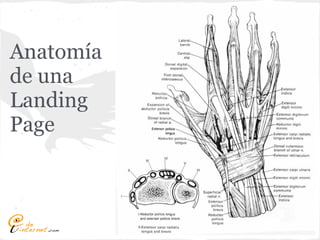 Anatomía
de una
Landing
Page
 