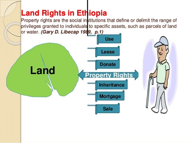 Introduction the demsetz thesis and the evolution of property rights