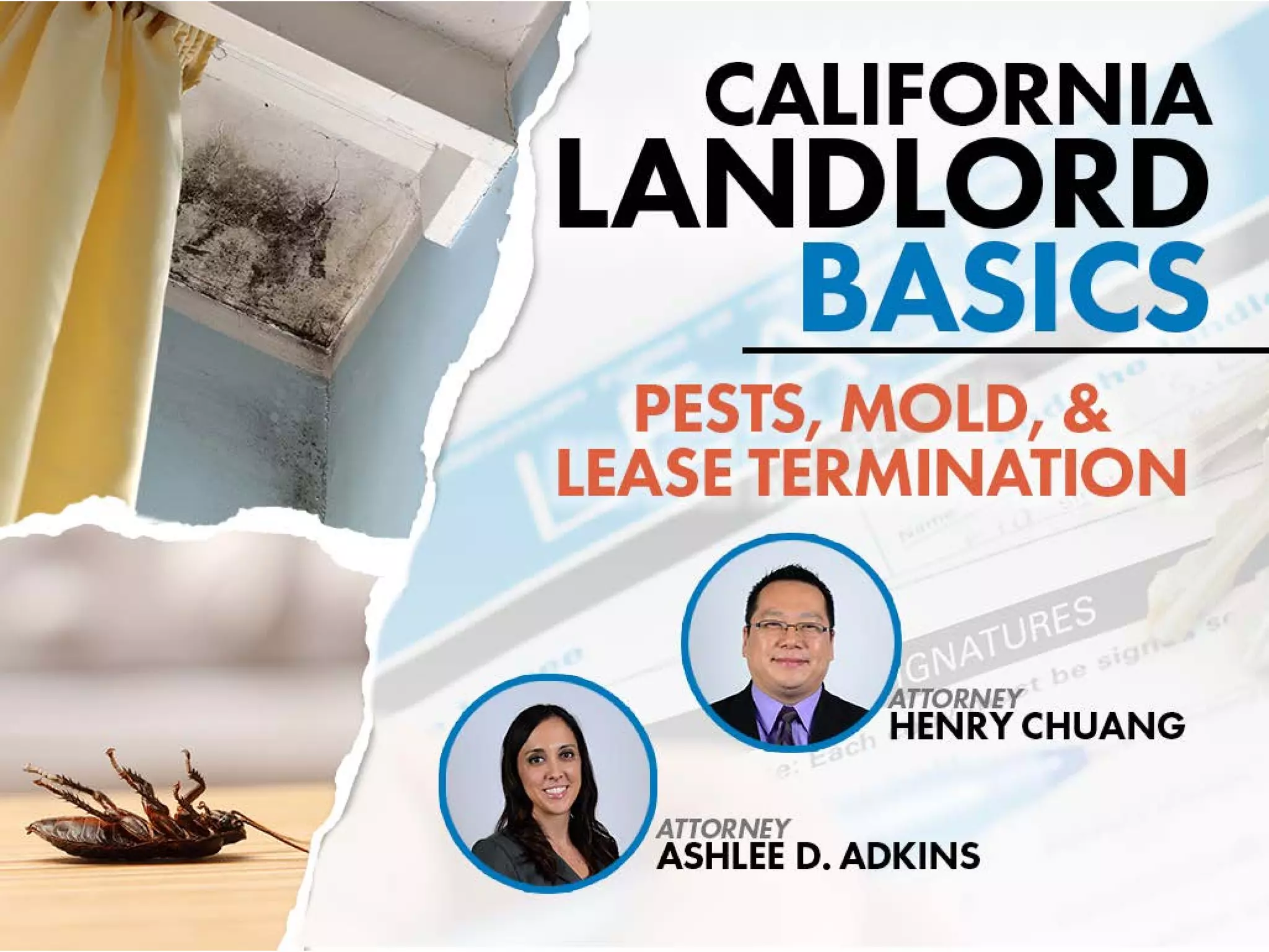 Pests, Mold, & Lease Termination California Landlord Basics inar PPT