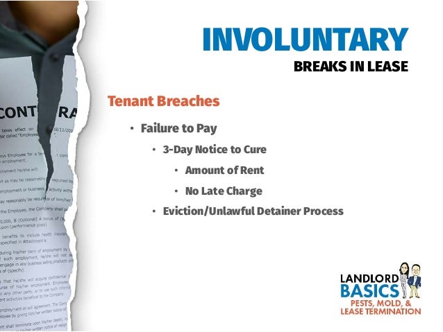 Mold In Bathroom Landlord Responsibility pests, mold, & lease termination: california landlord basics webinar Mold In Bathroom Landlord Responsibility pests, mold, & lease termination: california landlord basics webinar