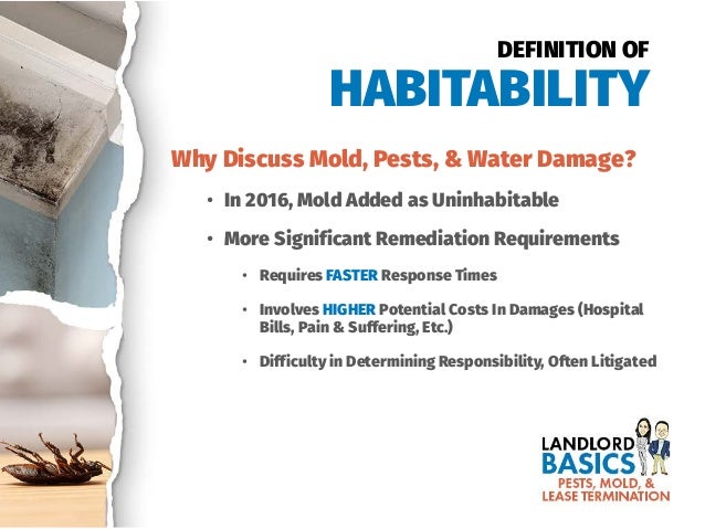 Mold In Bathroom Landlord Responsibility pests, mold, & lease termination: california landlord basics webinar Mold In Bathroom Landlord Responsibility pests, mold, & lease termination: california landlord basics webinar