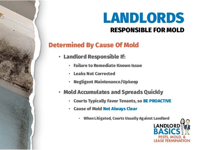 Mold In Bathroom Landlord Responsibility pests, mold, & lease termination: california landlord basics webinar Mold In Bathroom Landlord Responsibility pests, mold, & lease termination: california landlord basics webinar