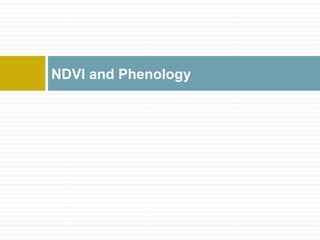 NDVI and Phenology
 