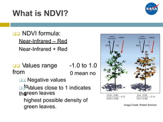 What is NDVI?
 NDVI formula:
Near-Infrared – Red
Near-Infrared + Red
 Values range
from
 Negative values
to
green leaves
-1.0 to 1.0
0 mean no
 Values close to 1 indicates
the
highest possible density of
green leaves. Image Credit: Robert Simmon
 